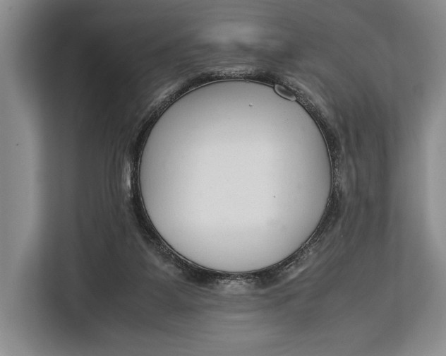 X0000113040115200909171529
