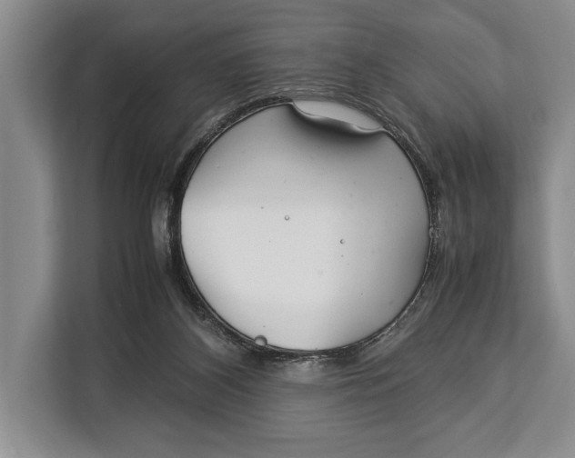 X0000113040116200909171529
