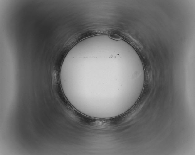 X0000113040117200909171529
