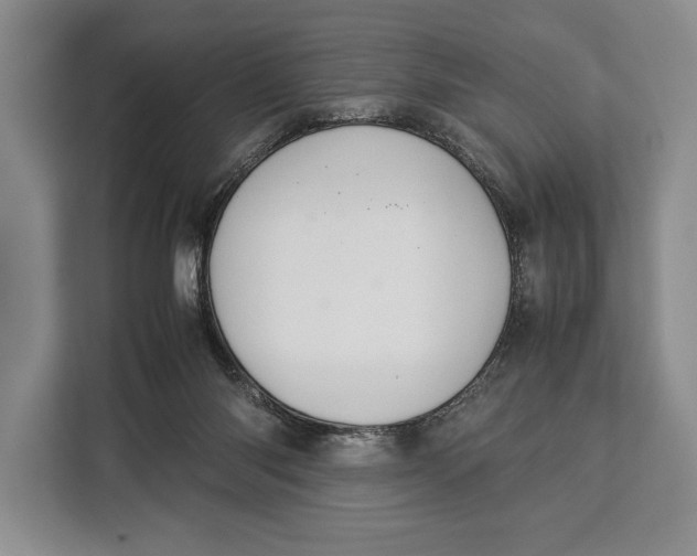 X0000113040118200909171529