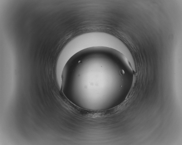 X0000113040120200909171529