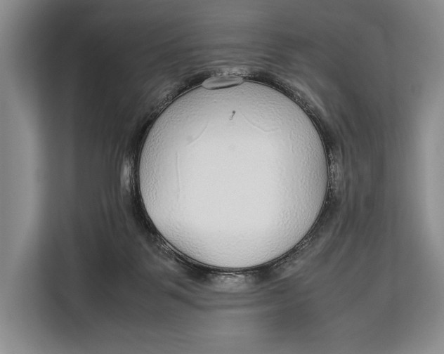 X0000113040123200909171529