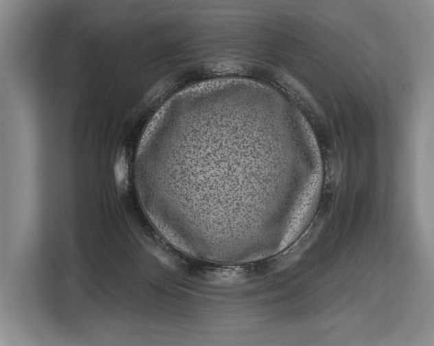 X0000113040124200909171529