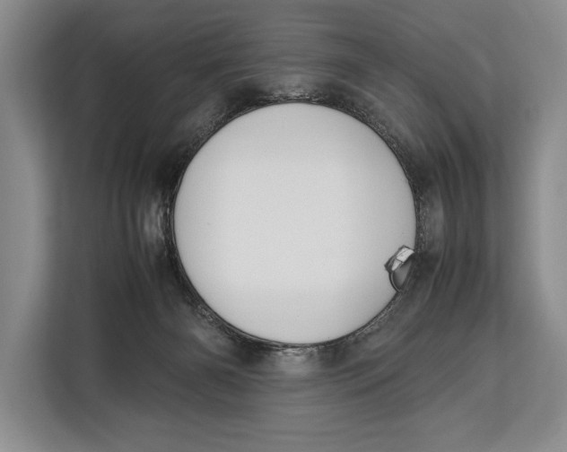 X0000113040126200909171529