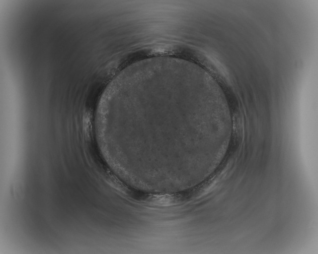 X0000113040127200909171529