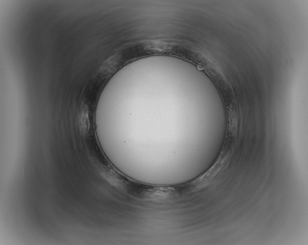 X0000113040128200909171529