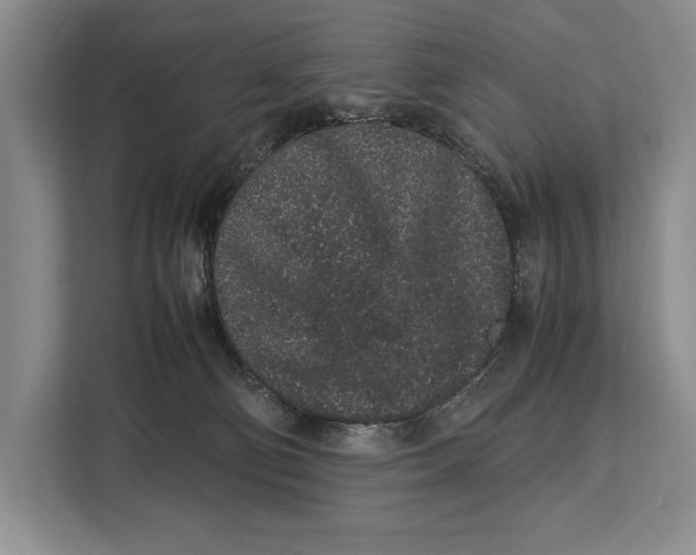 X0000113040130200909171528