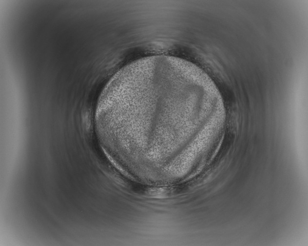 X0000113040131200909171528