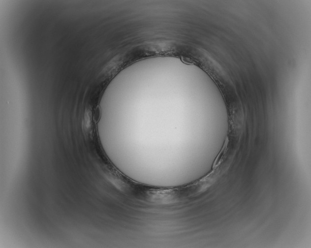 X0000113040132200909171528