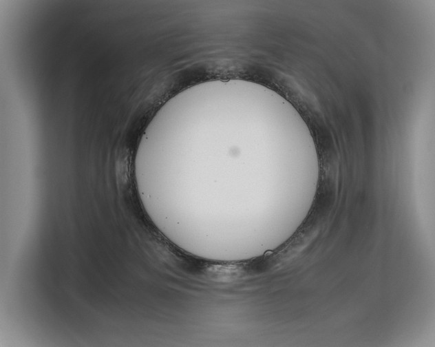X0000113040133200909171528