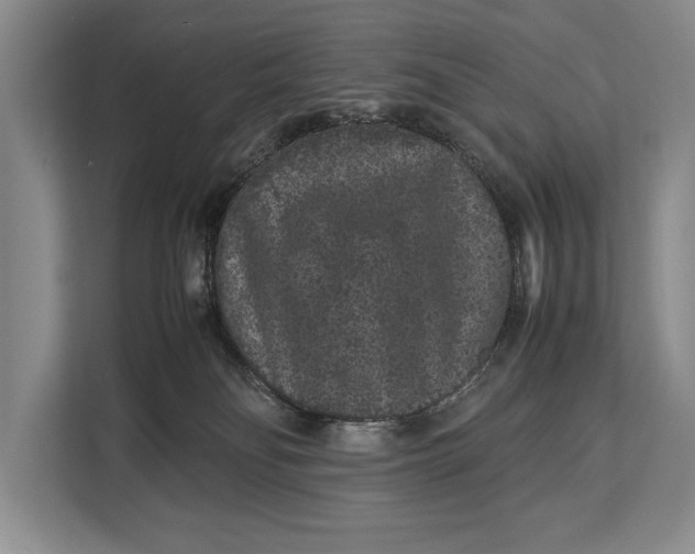 X0000113040134200909171528