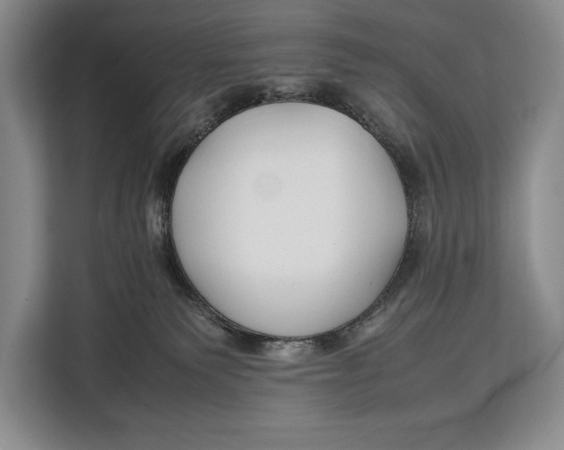 X0000113040135200909171528