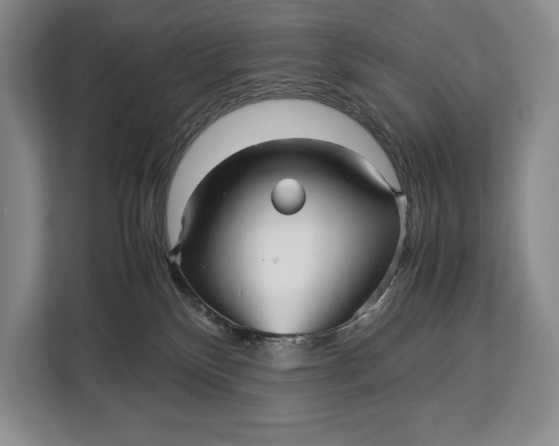 X0000113040136200909171528