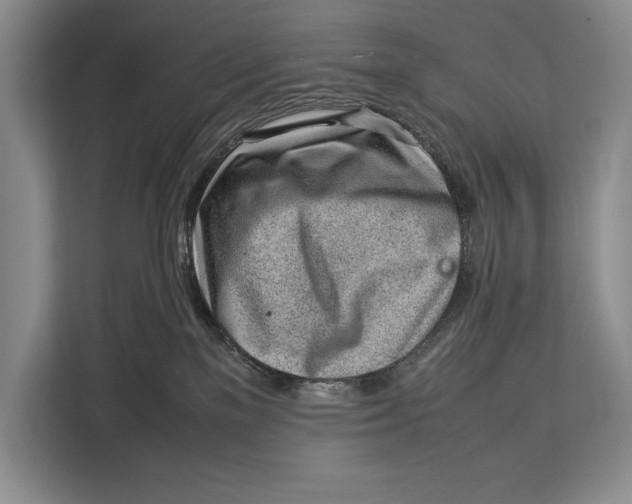X0000113040137200909171528
