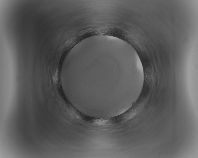 X0000113040139200909171528