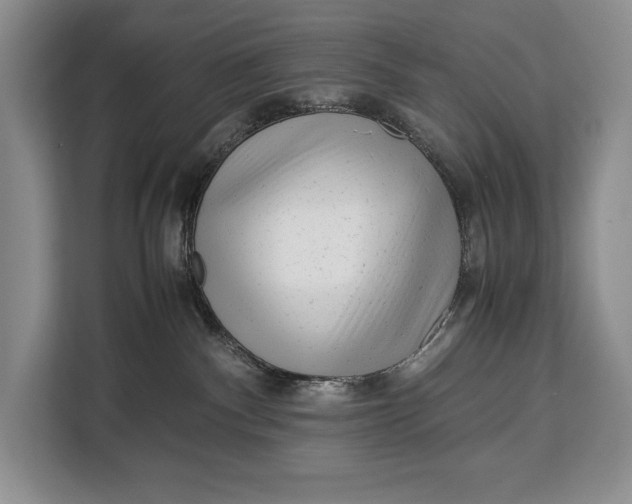 X0000113040140200909171528