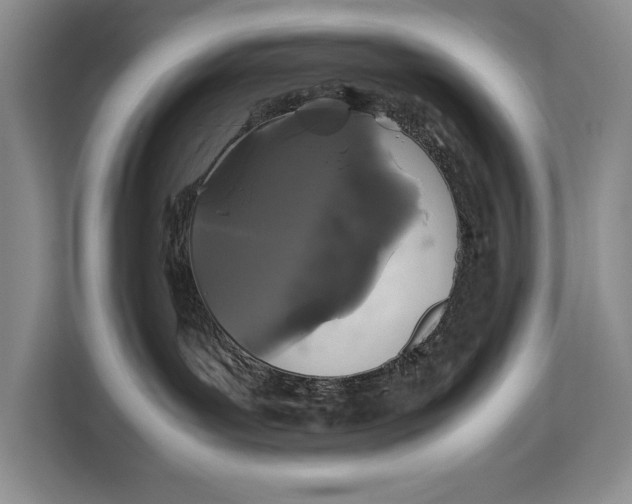 X0000113040143200909171528