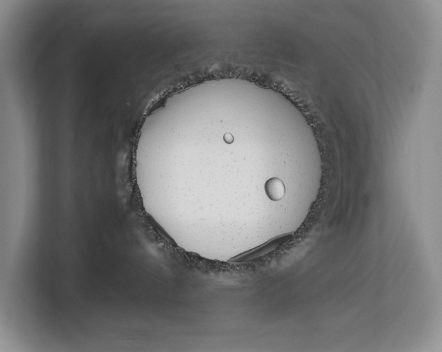 X0000113040144200909171528