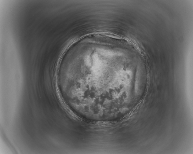X0000113040145200909171528