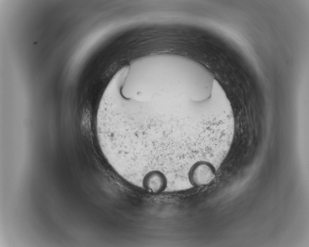 X0000113040146200909171528