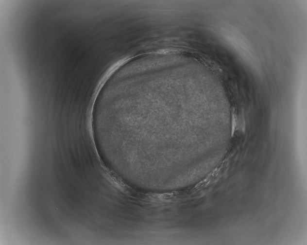 X0000113040147200909171528