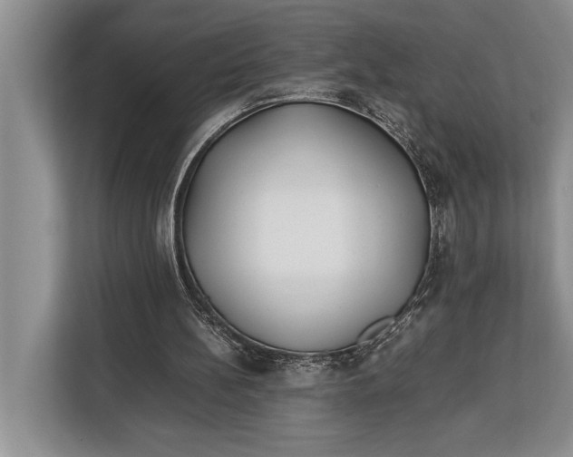 X0000113040148200909171528