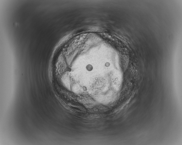 X0000113040149200909171528
