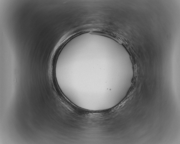 X0000113040150200909171528