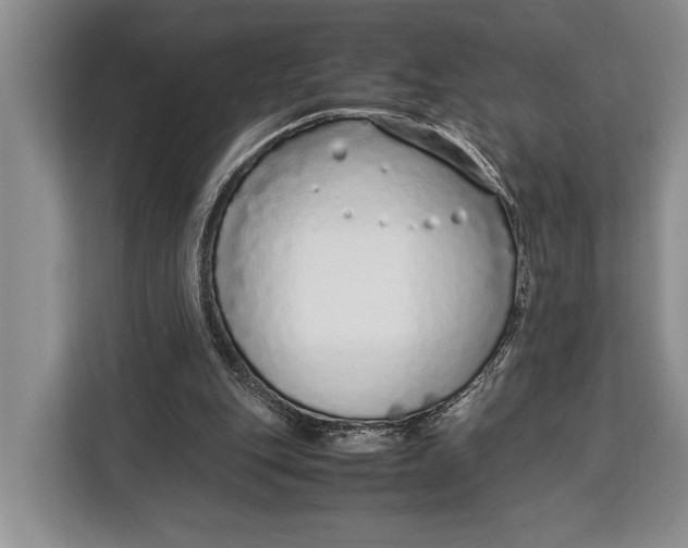X0000113040151200909171528
