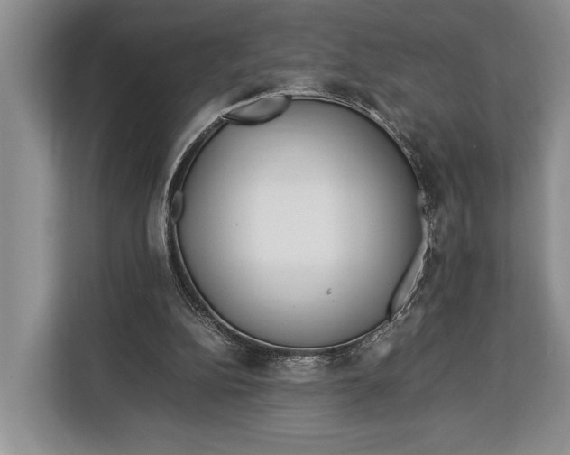 X0000113040152200909171528