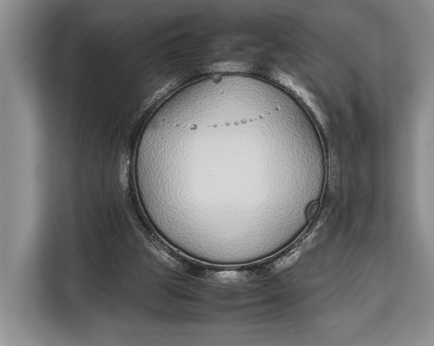 X0000113040153200909171528