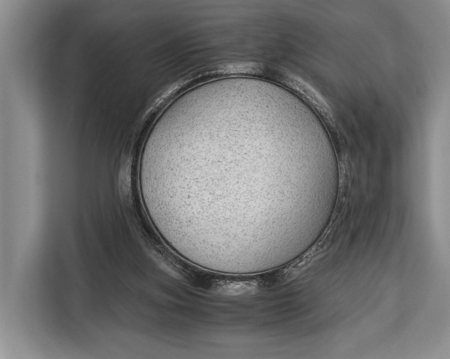 X0000113040155200909171528