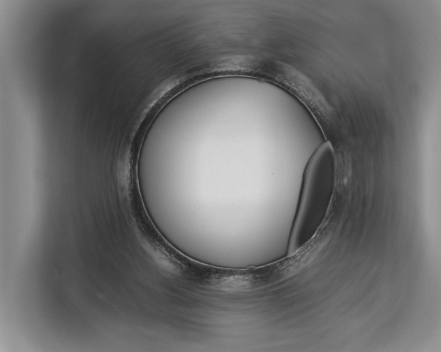 X0000113040156200909171528