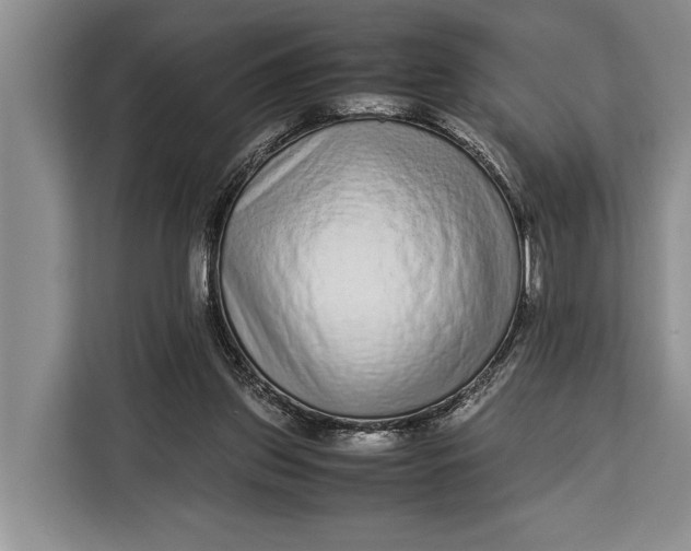 X0000113040157200909171528