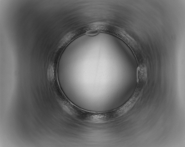 X0000113040158200909171528