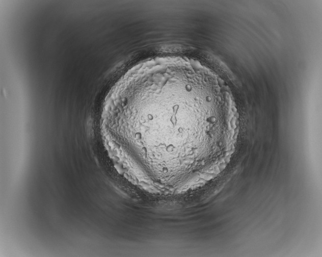 X0000113040161200909171528