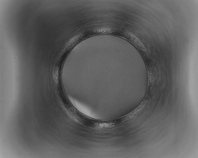 X0000113040163200909171528