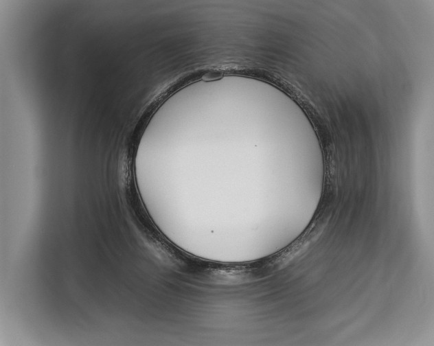 X0000113040164200909171528