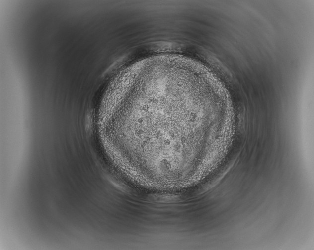 X0000113040165200909171528