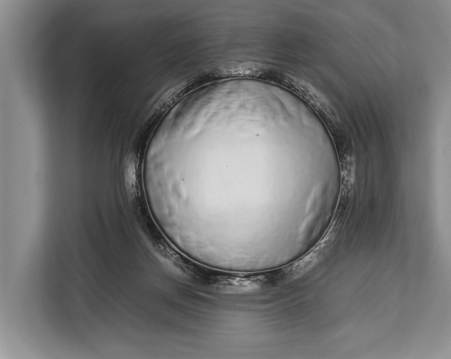X0000113040166200909171528