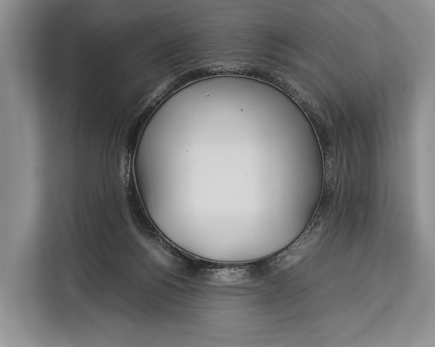 X0000113040168200909171528