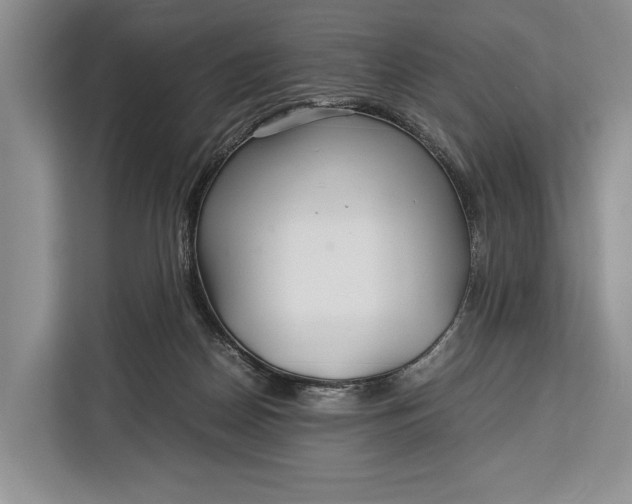 X0000113040170200909171528
