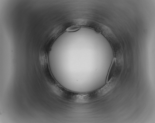 X0000113040172200909171528