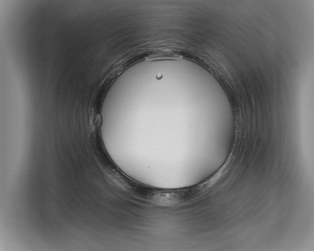 X0000113040174200909171528