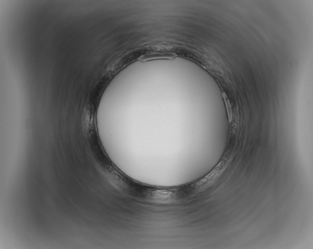 X0000113040176200909171528