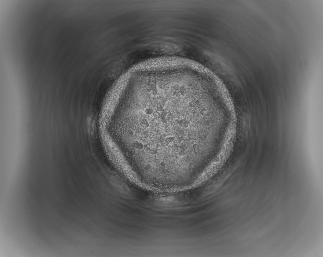 X0000113040177200909171528