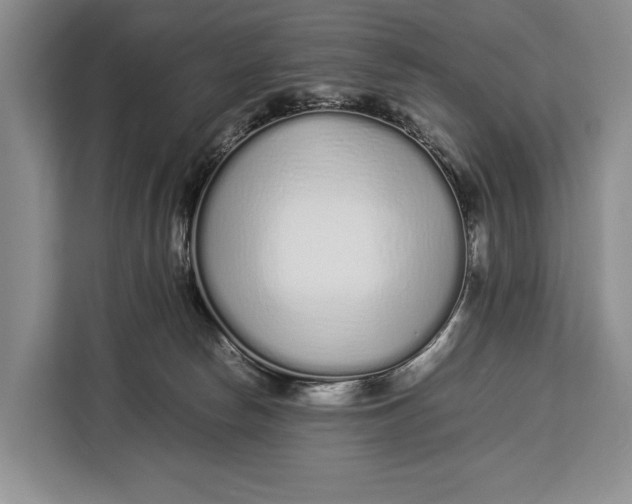 X0000113040178200909171528