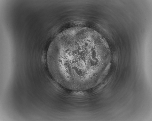 X0000113040181200909171528
