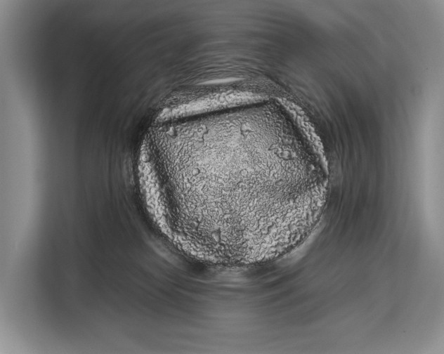 X0000113040182200909171528