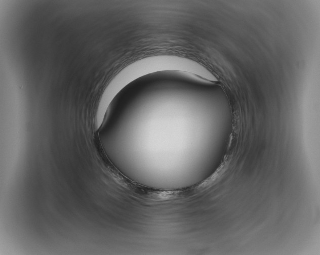 X0000113040184200909171528